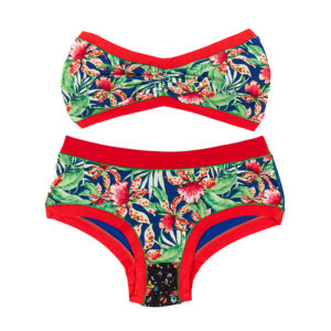 rouge-bleu-pampa-bandeau